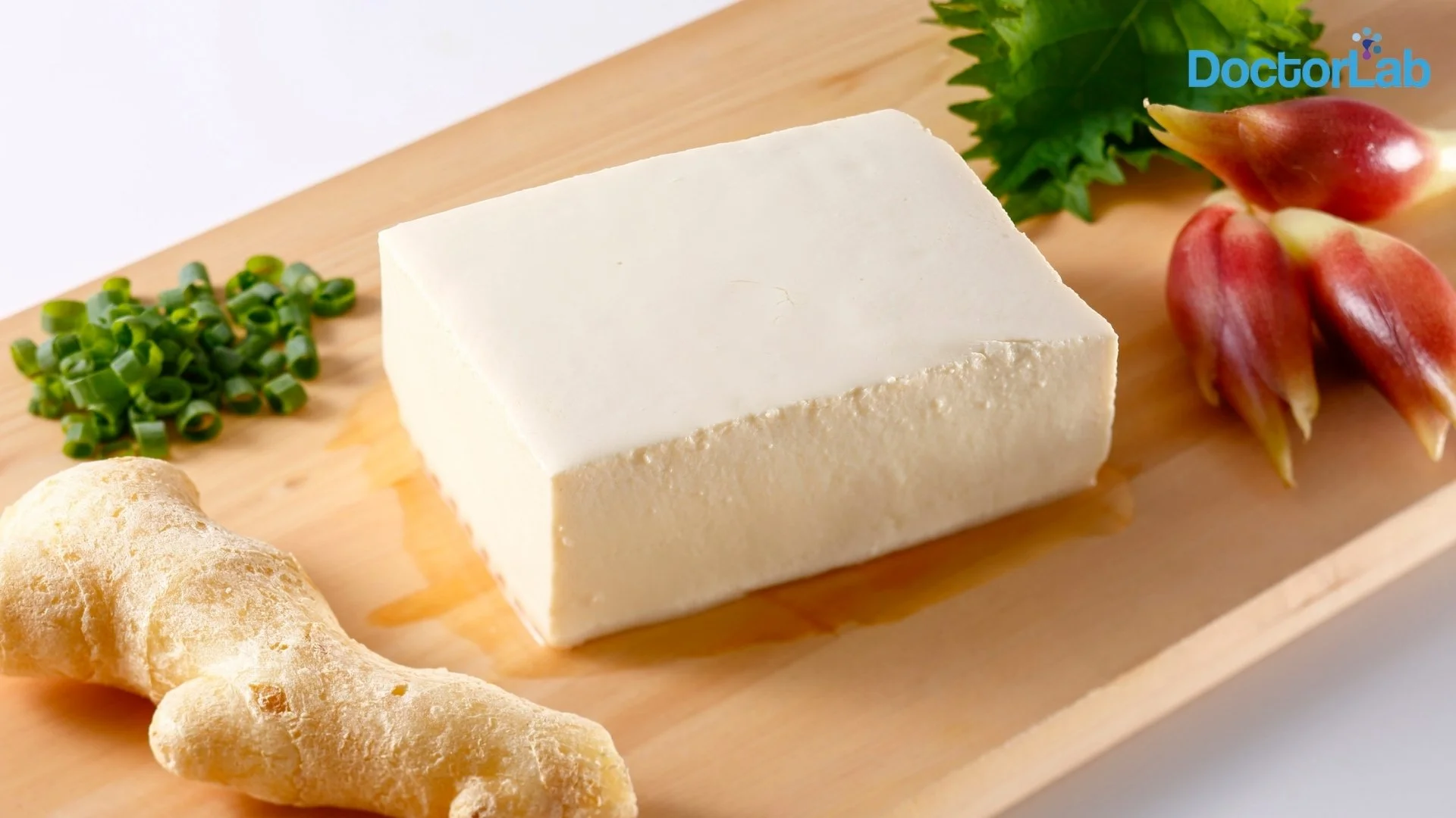 plant-based-protein Tofu